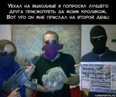 Попросил друга присмотреть за кроликом Попросил друга присмотреть за кроликом