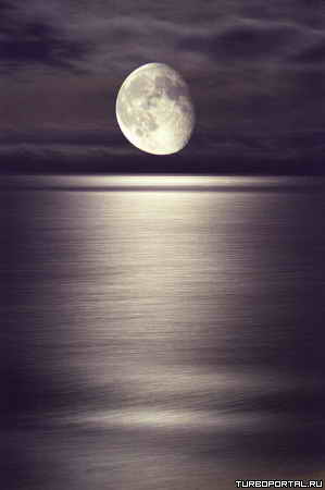 Работы фотографа Тиита Мотуса (Tiit Motus) Работы фотографа Тиита Мотуса (Tiit Motus)