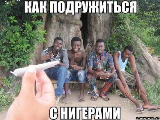 Как подружиться ниггерами Как подружиться ниггерами