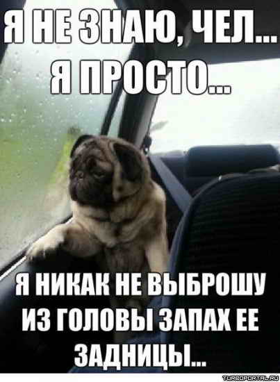   , ...  ...         ...